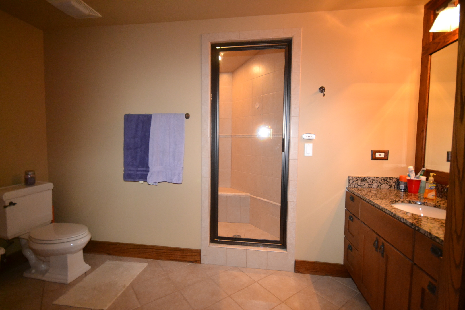 9N313 Muirhead Road Elgin, IL 60124 - Photo 44 of 61