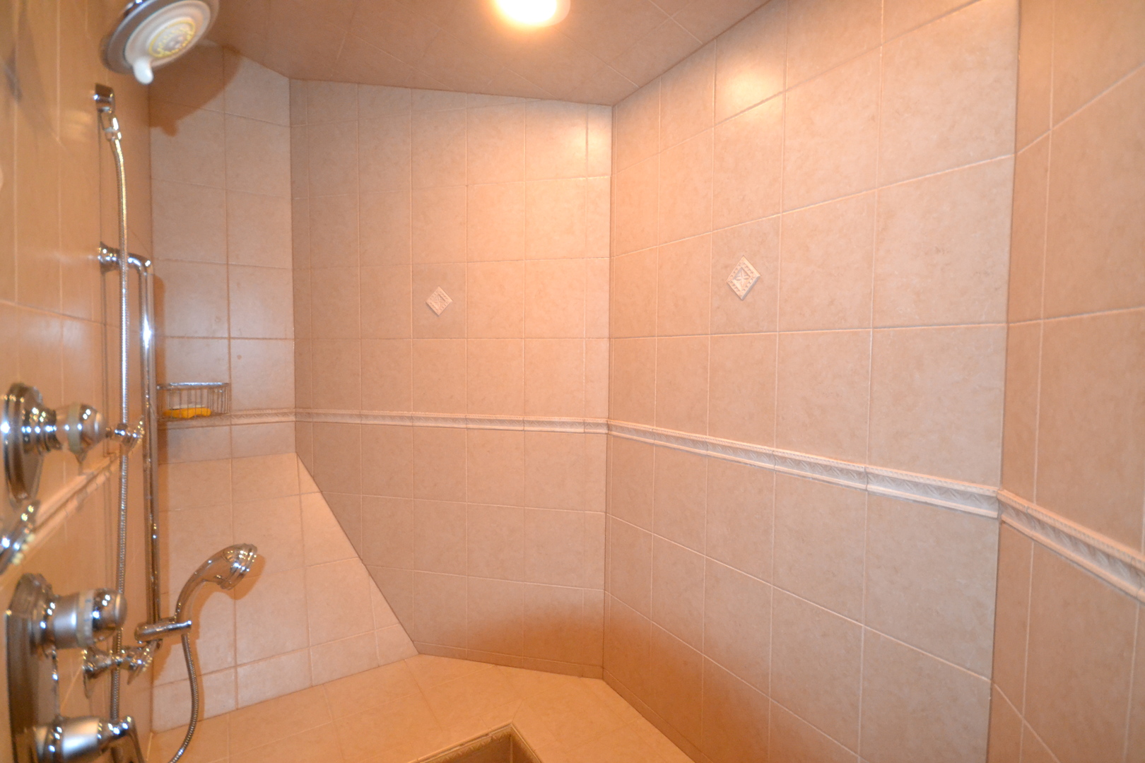 9N313 Muirhead Road Elgin, IL 60124 - Photo 45 of 61 a bathroom with a shower