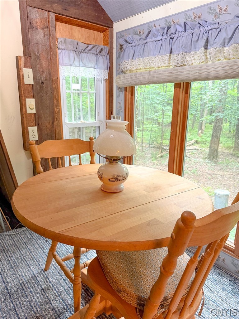 3147 Potter Road Osceola, NY 13437 - Photo 25 of 48