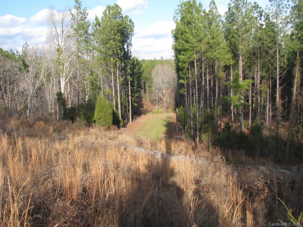 40-ac Yarborough Road Chester, SC 29706 - Photo 2 of 11