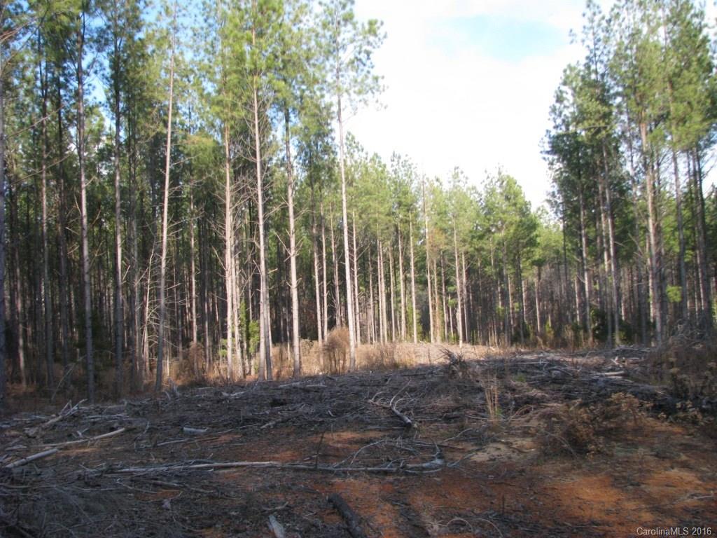 40-ac Yarborough Road Chester, SC 29706 - Photo 3 of 11