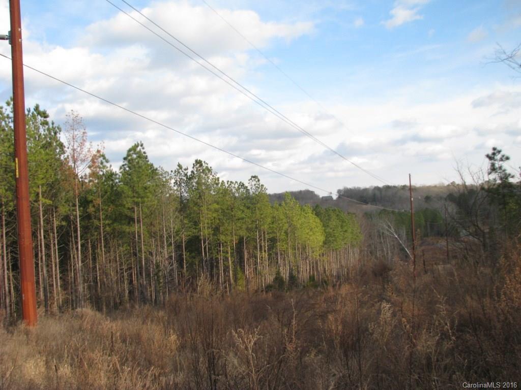 40-ac Yarborough Road Chester, SC 29706 - Photo 5 of 11