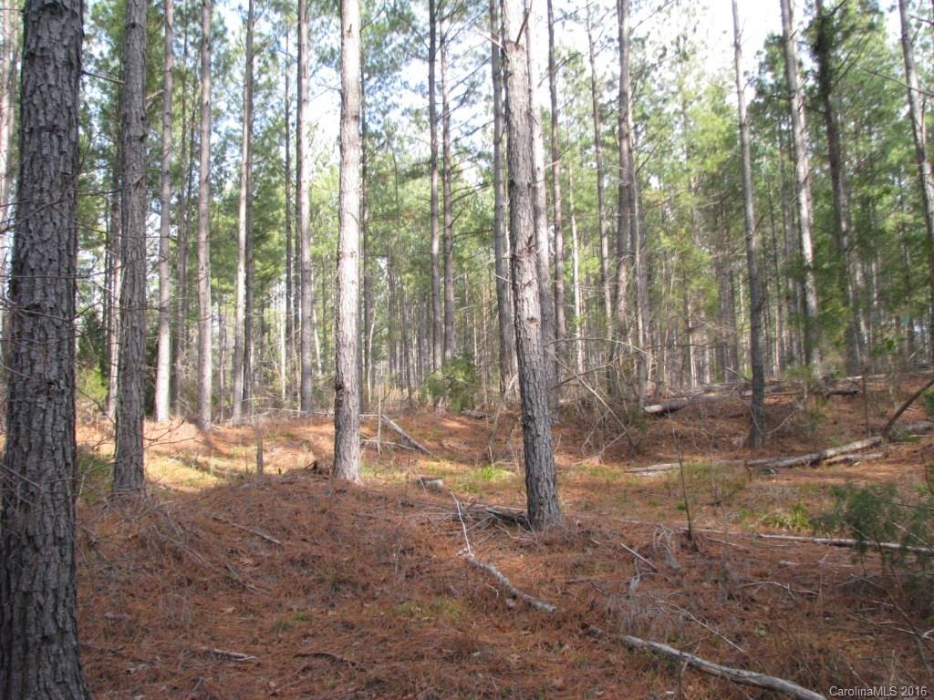 40-ac Yarborough Road Chester, SC 29706 - Photo 6 of 11
