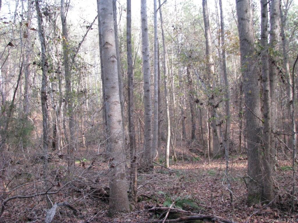 40-ac Yarborough Road Chester, SC 29706 - Photo 7 of 11