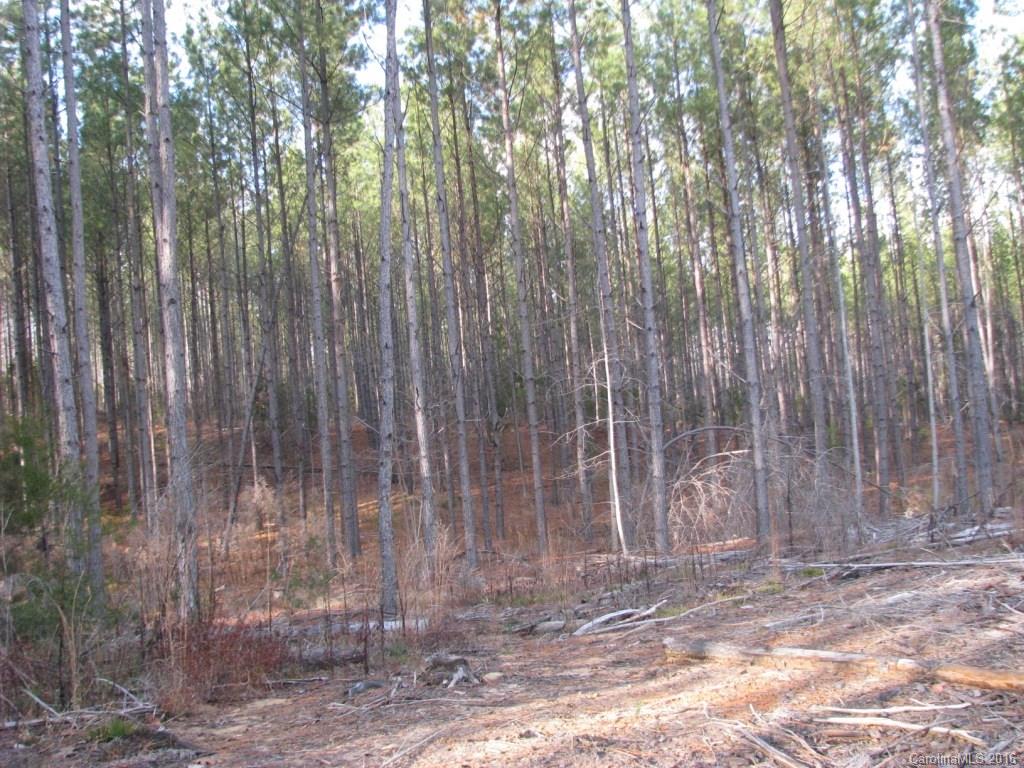 40-ac Yarborough Road Chester, SC 29706 - Photo 8 of 11