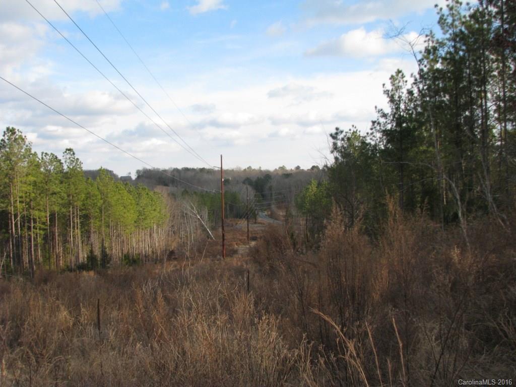 40-ac Yarborough Road Chester, SC 29706 - Photo 9 of 11