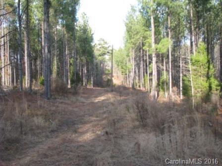 40-ac Yarborough Road Chester, SC 29706 - Photo 10 of 11