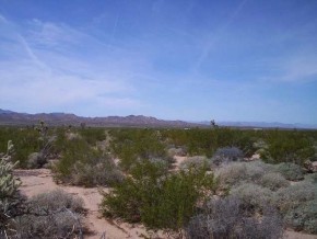 Arlington Road Yucca, AZ 86438 - Photo 2 of 2 Additional Photo