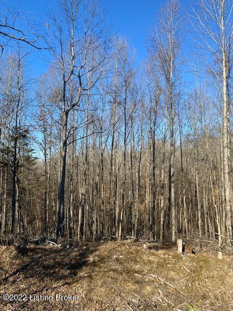 From center toward woods