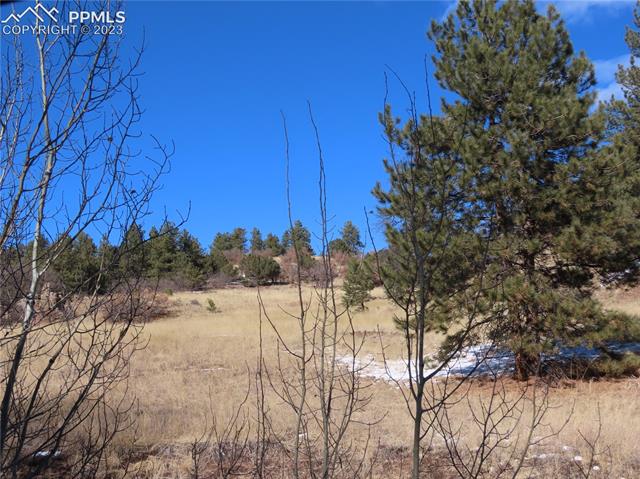 203 Pine Road Florissant, CO 80816 - Photo 15 of 20