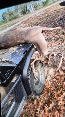 $1,190,000 | 1065 Private Road 7041, Elgin, TX 78621