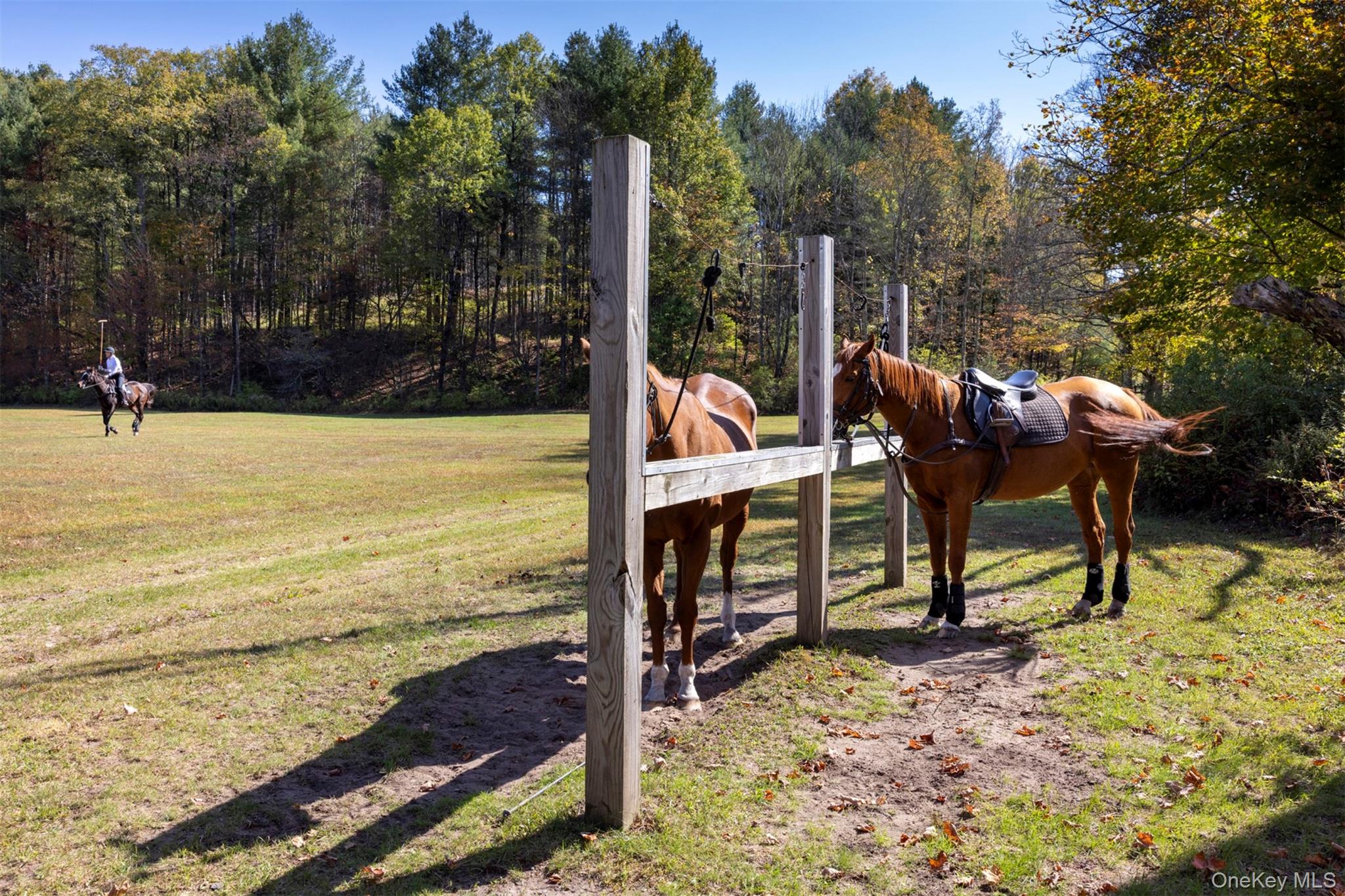 390 Erpf Road Arkville, NY 12406 - Photo 46 of 48