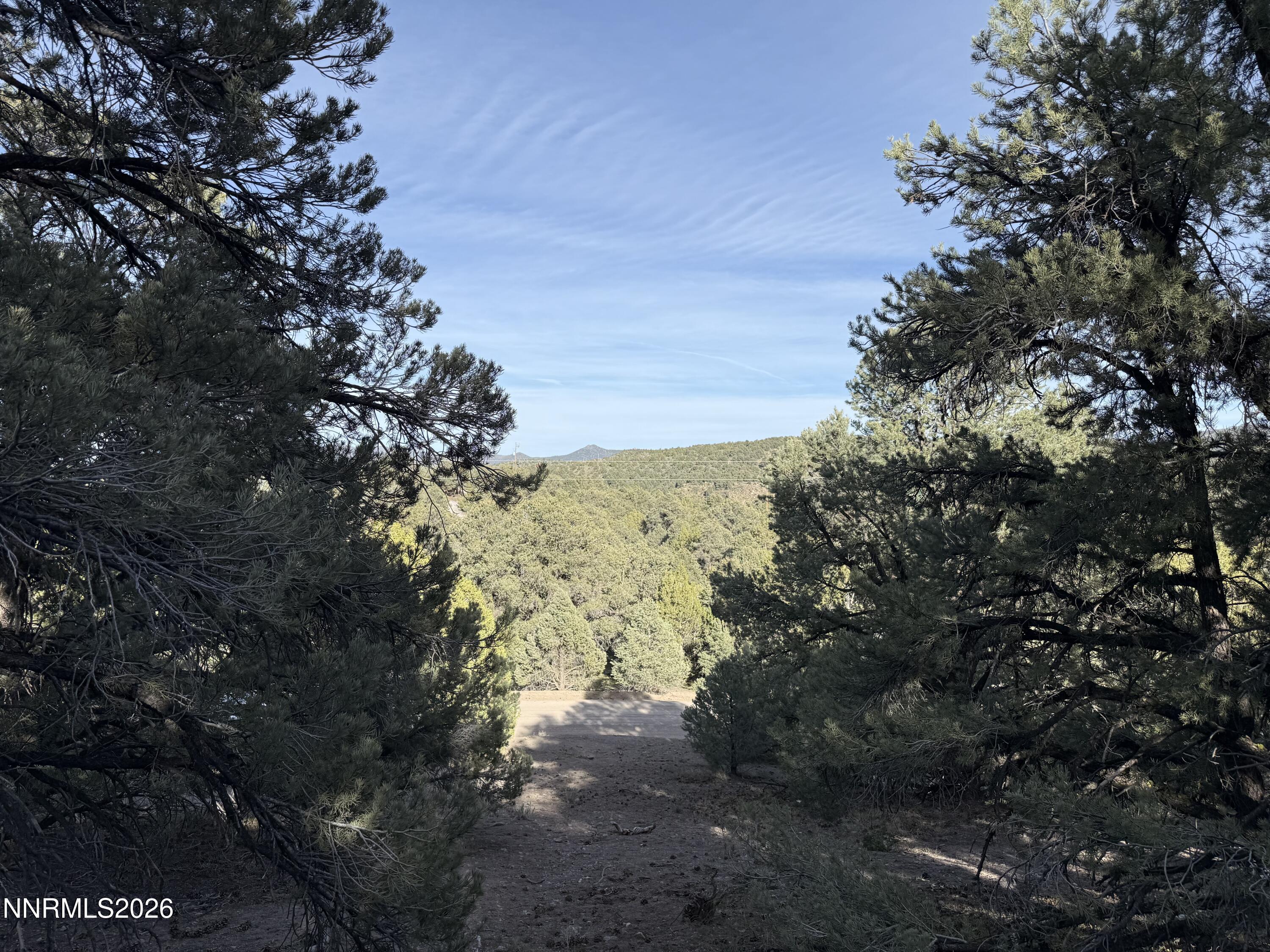 21695 Dortort Drive Reno, NV 89521 - Photo 1 of 4 a view of a forest with a tree