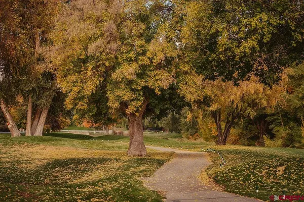 a view of a yard with patio