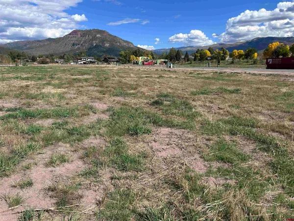 a view of a big yard with green space