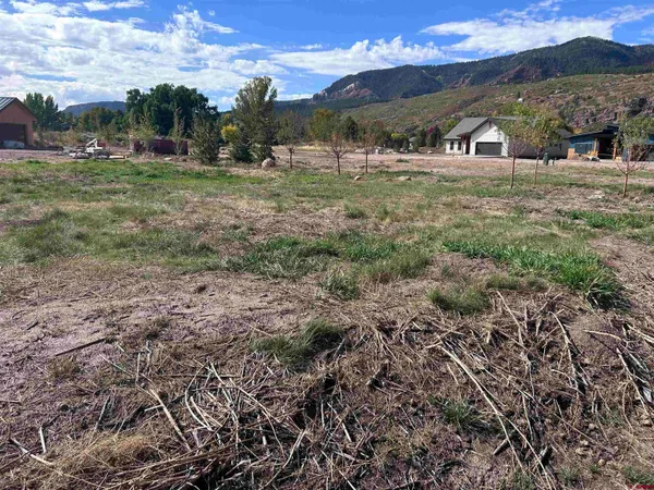 a bathroom with a mirror and a shower curtain