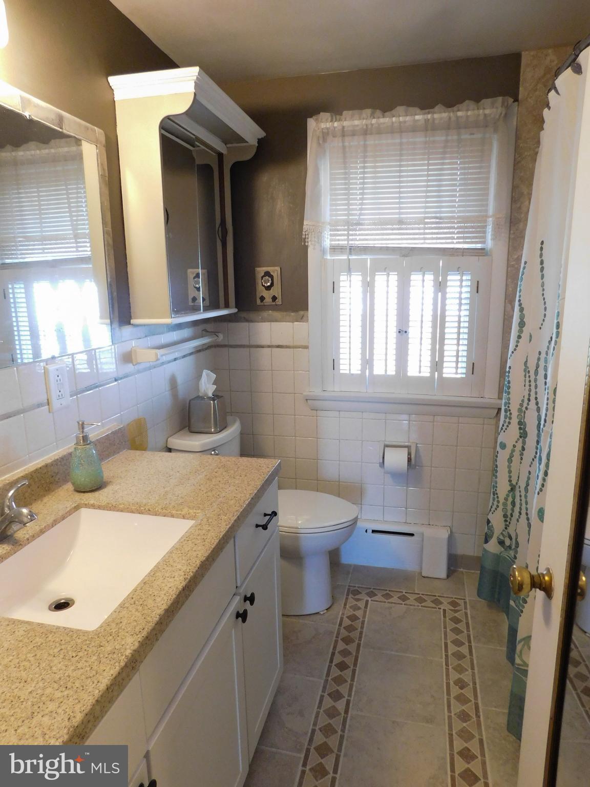 250 North Main Street Spring Grove, PA 17362 - Photo 20 of 34 Full Bath