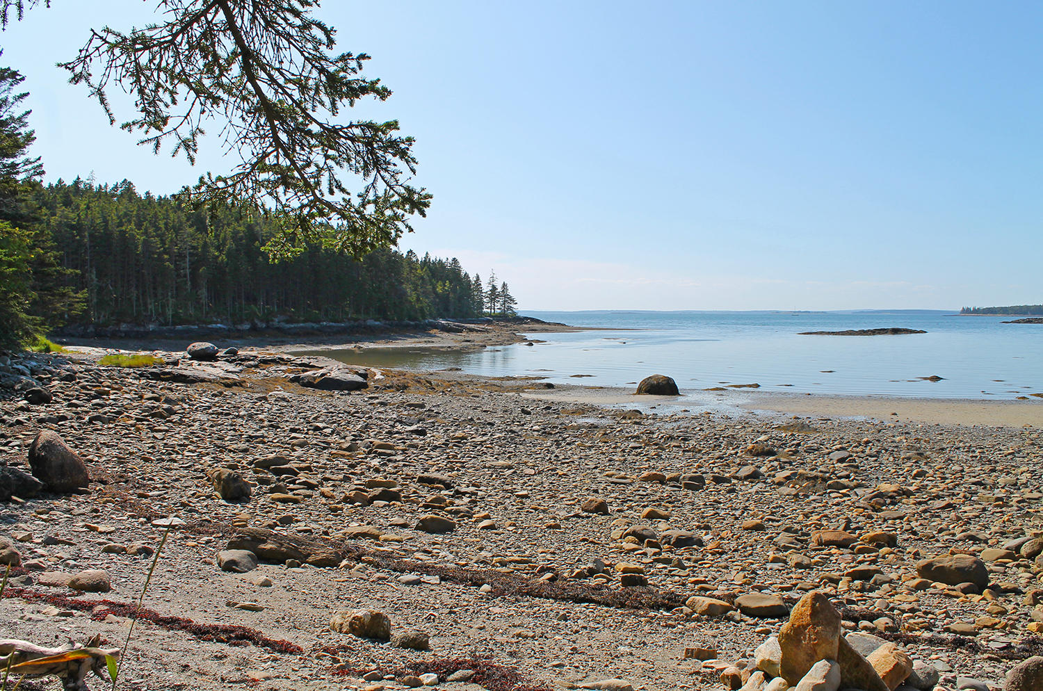 113 Lopaus Point Road Bernard, ME 04612 - Photo 13 of 23 LowTidePebbleBeach