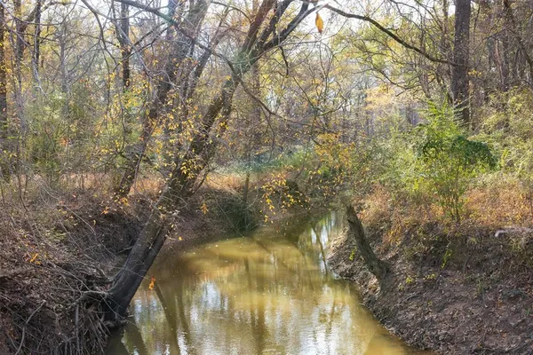 a view of water with two trees