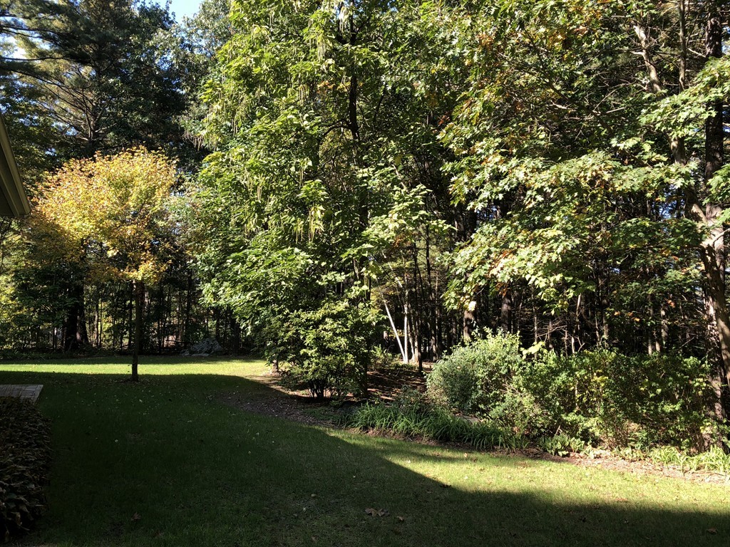 7 Paddock Road Tyngsborough, MA 01879 - Photo 3 of 22 Gallery Image 3