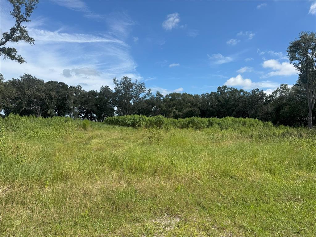 7114 Northwest Lily County Line Road Ona, FL 33865 - Photo 6 of 6 Gallery Image 6