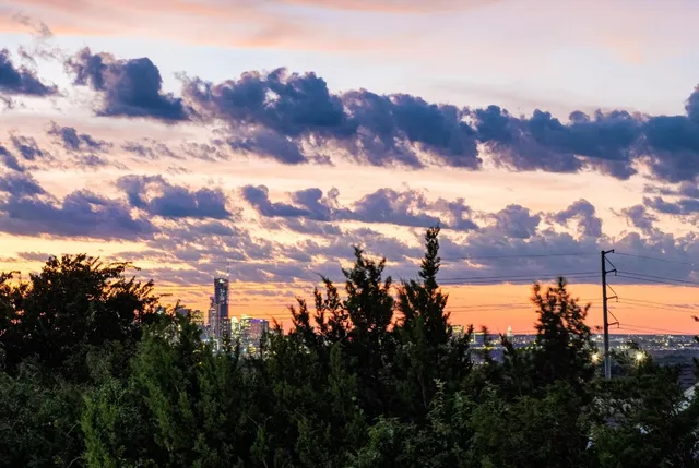 a view of backyard with a deck and wooden floor