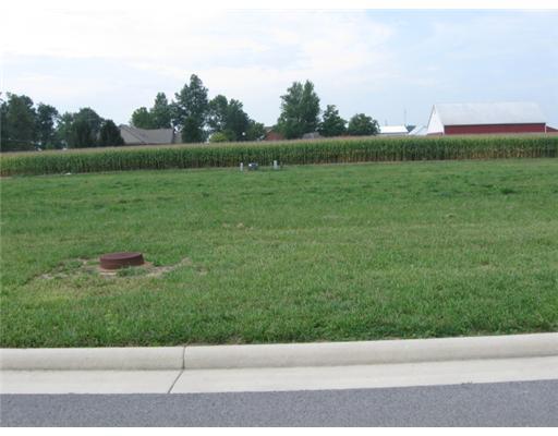 0 Line, Unit LOT 7 Minster, OH 45865 - Photo 2 of 7