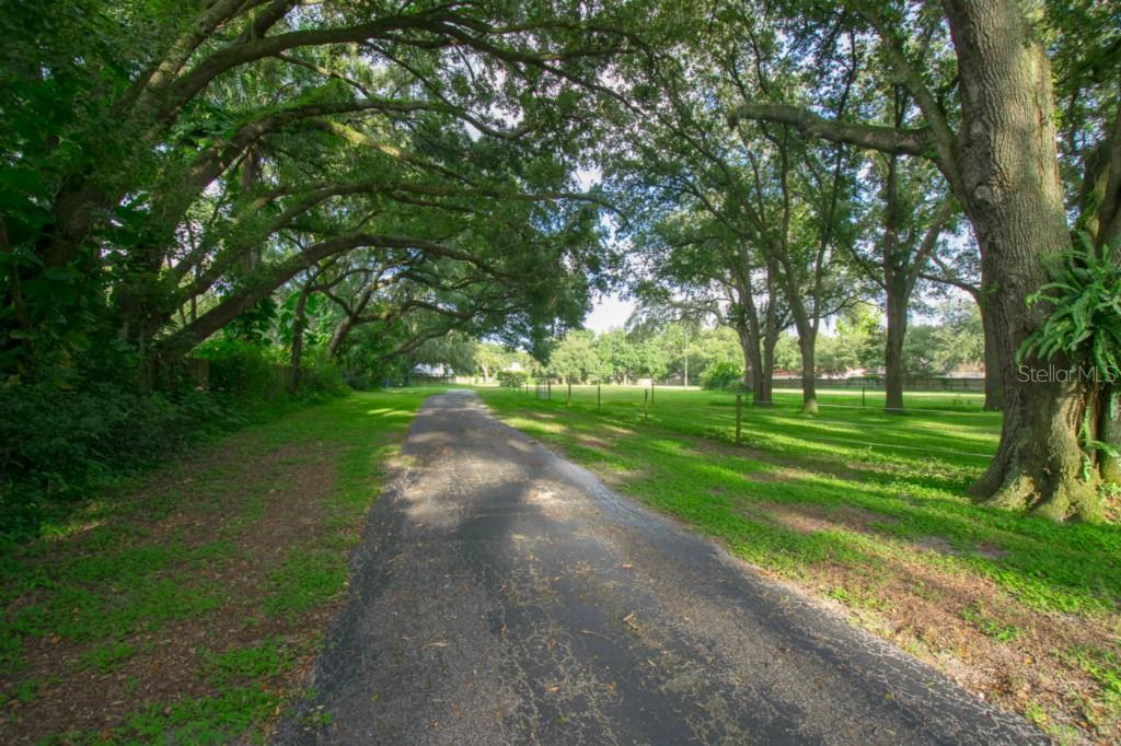 1609 Sydney Road Valrico, FL 33594 - Photo 5 of 25 Gallery Image 5