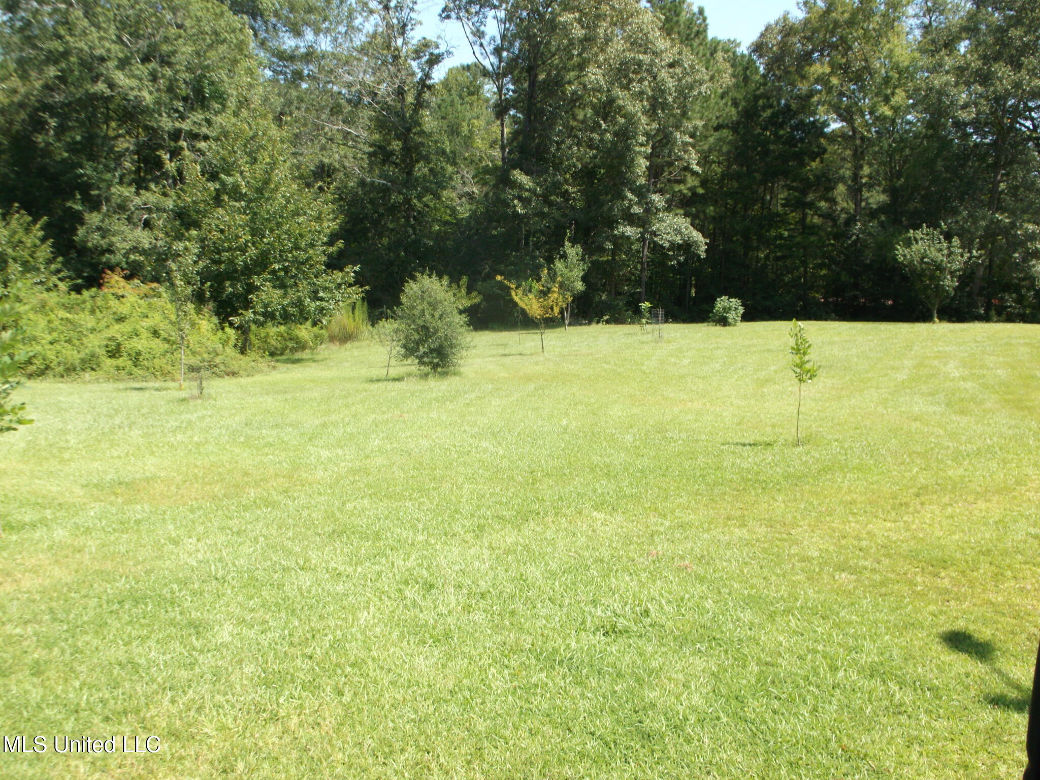 3161 Old Brookhaven Road Summit, MS 39666 - Photo 15 of 15 DSCF4542