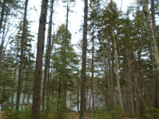 Lot D Lot D Young's Point Road Wiscasset, ME 04578 - Photo 12 of 12 20181010012912138038000000-o