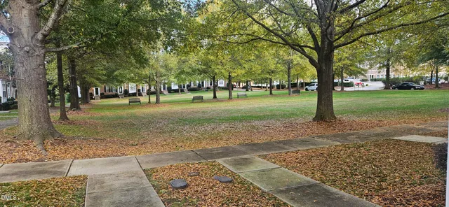 a view of a park with large trees