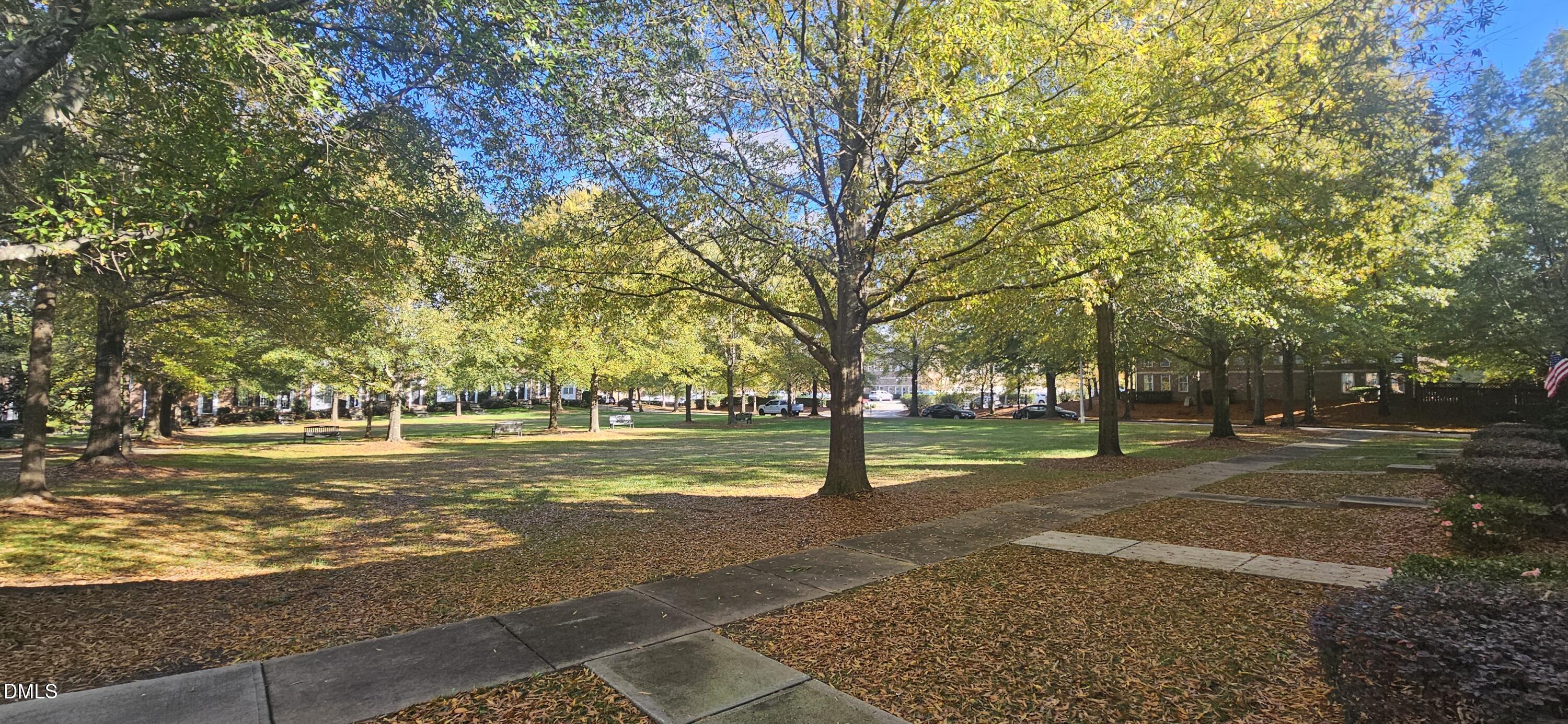 138 West Savannah Ridge Road Holly Springs, NC 27540 - Photo 22 of 22 a view of a park with large trees