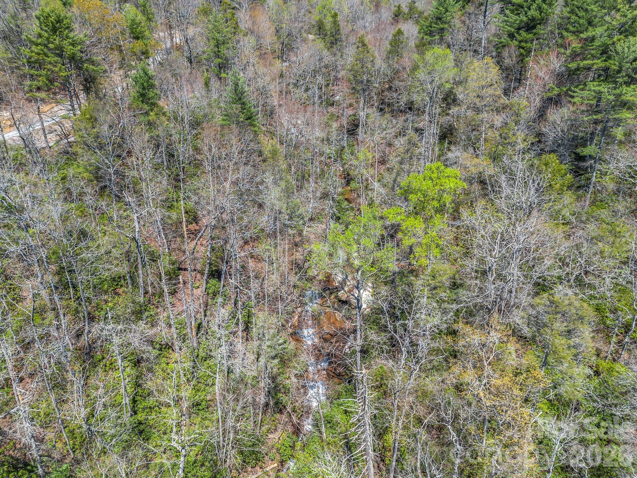 999 Bulling Creek Road Penrose, NC 28766 - Photo 35 of 37