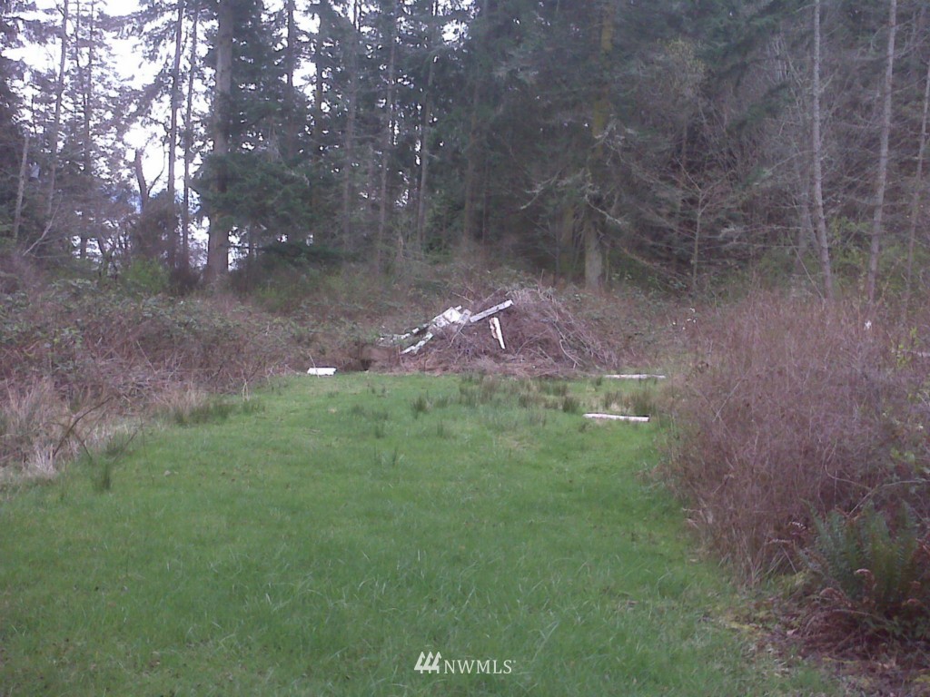 3160 Green Road Oak Harbor, WA 98277 - Photo 3 of 25 Gallery Image 3