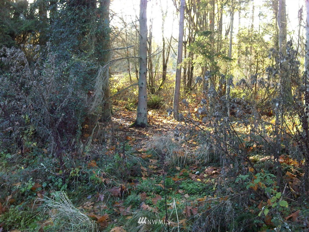 3160 Green Road Oak Harbor, WA 98277 - Photo 7 of 25 Gallery Image 7