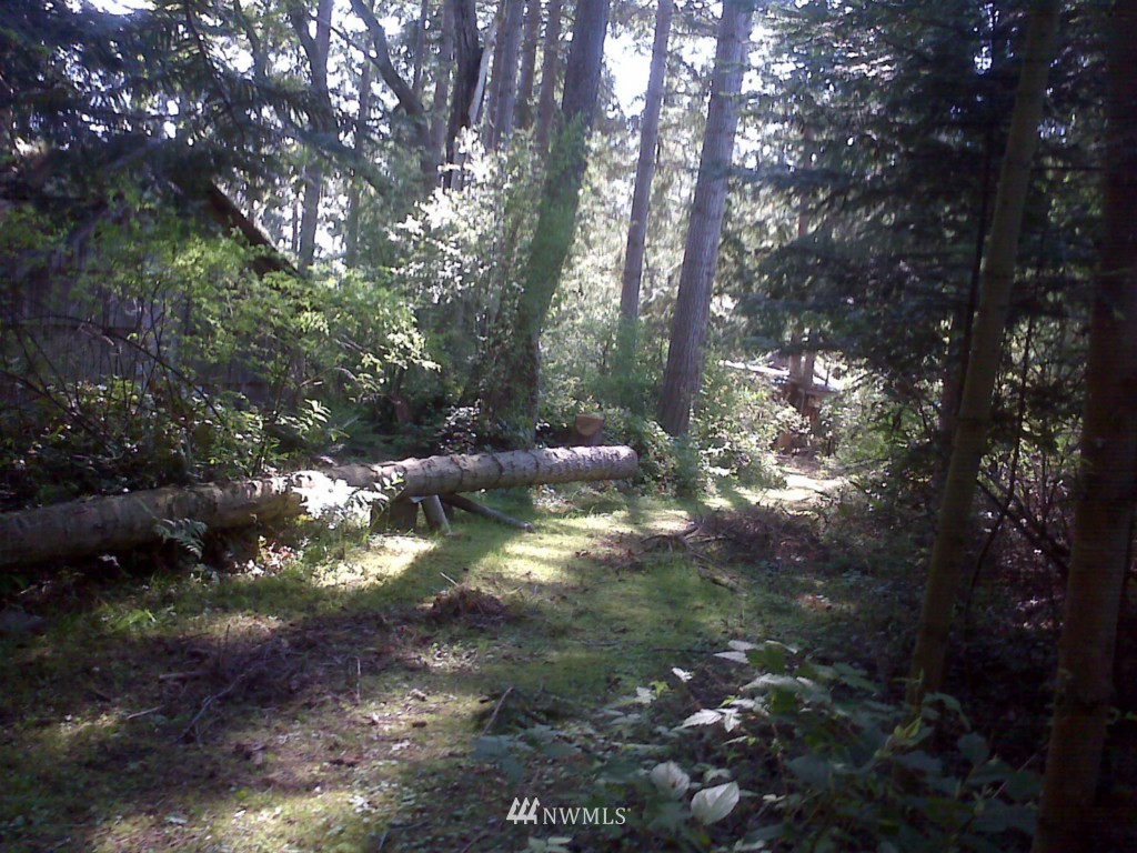 3160 Green Road Oak Harbor, WA 98277 - Photo 9 of 25 Gallery Image 9