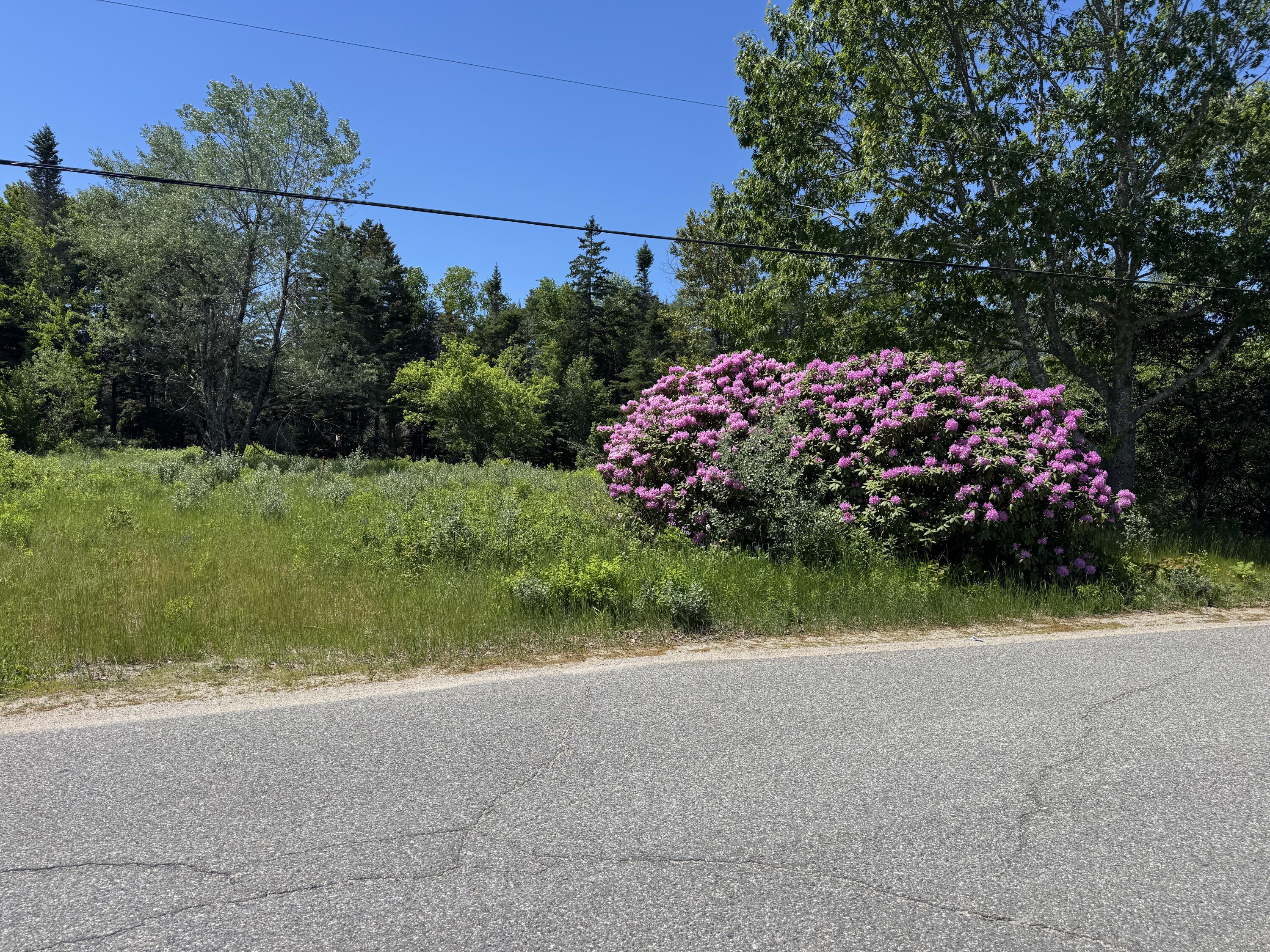 113 Looks Point Road Jonesboro, ME 04648 - Photo 11 of 11 IMG_5715