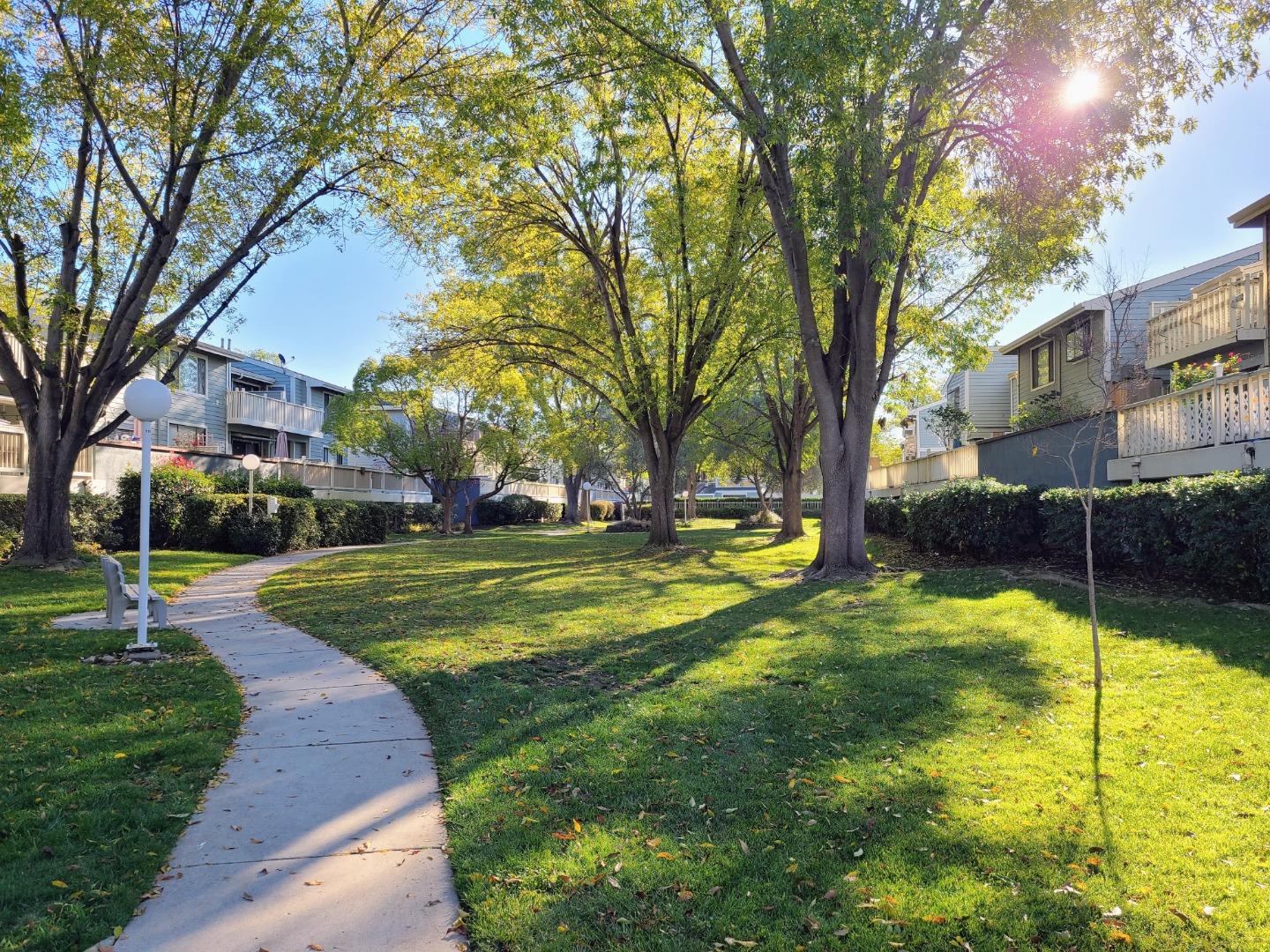 37050 Meadowbrook Common, Unit 302 Fremont, CA 94536 - Photo 20 of 21 a view of road with large trees