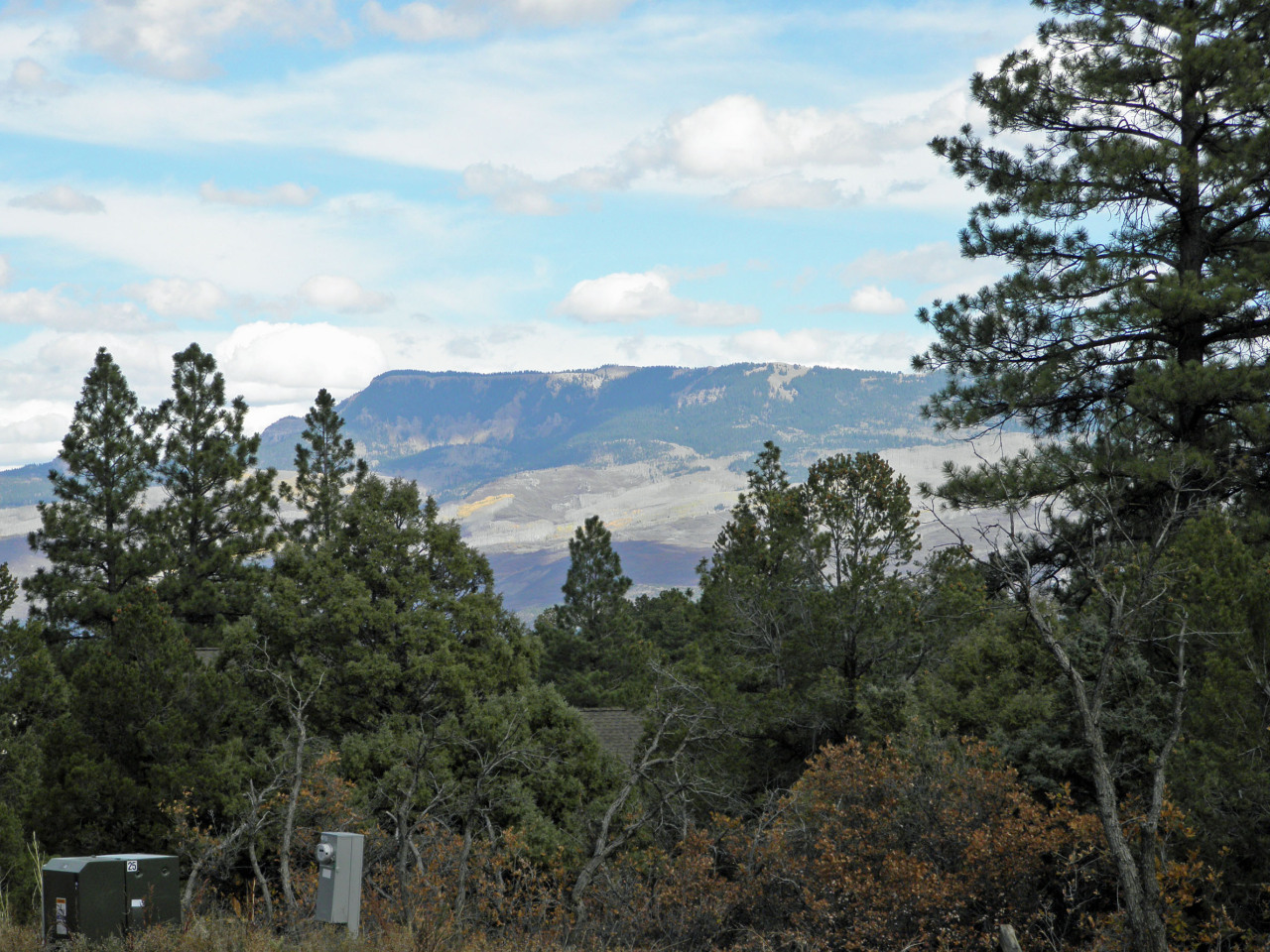 Tbd Big Canyon Point Ridgway, CO 81432 - Photo 3 of 14 an aerial view of mountain with trees