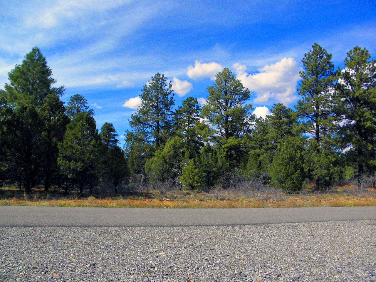 Tbd Big Canyon Point Ridgway, CO 81432 - Photo 5 of 14 a view of a swimming pool with an outdoor space and seating area