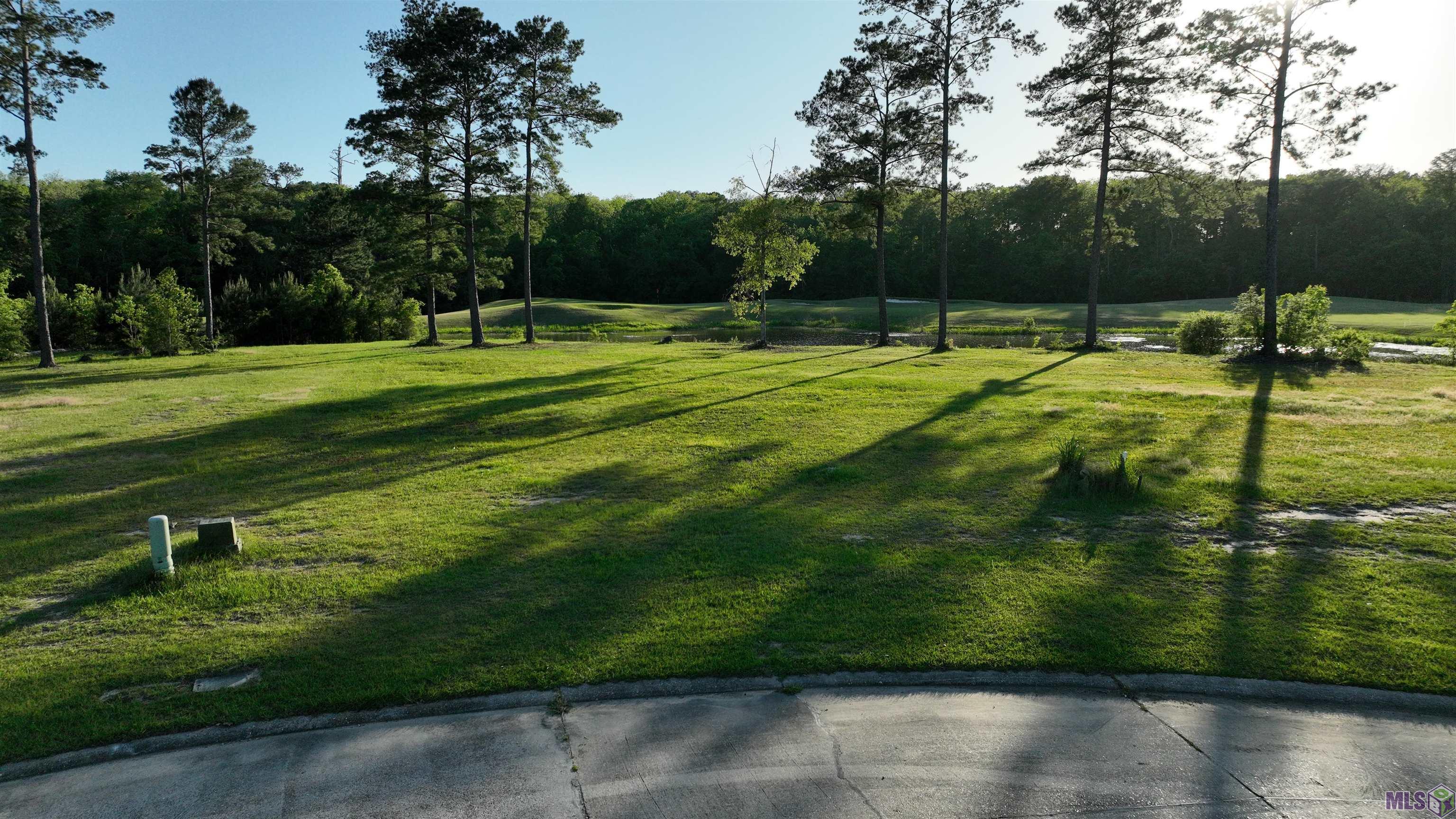 23282 Noble Oak Drive Springfield, LA 70462 - Photo 1 of 11