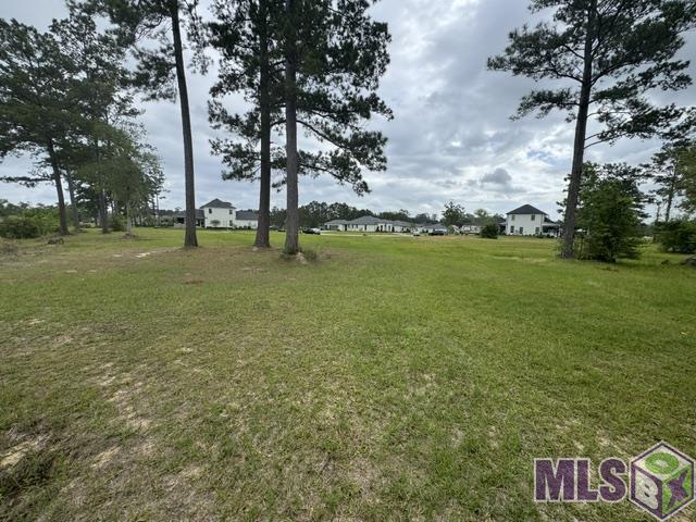 23282 Noble Oak Drive Springfield, LA 70462 - Photo 11 of 11
