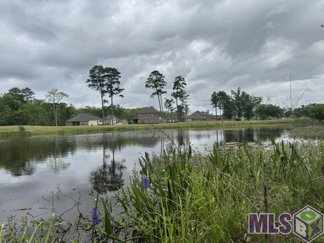 23282 Noble Oak Drive Springfield, LA 70462 - Photo 5 of 11