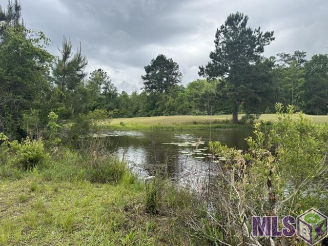 23282 Noble Oak Drive Springfield, LA 70462 - Photo 7 of 11