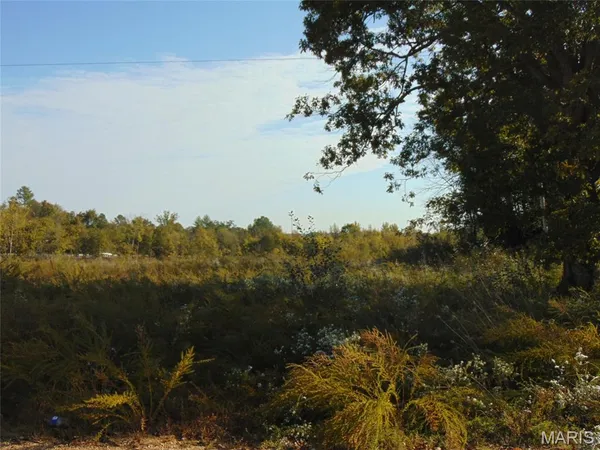 $35,000 | 605 Bridge Street, Doniphan, MO 63935
