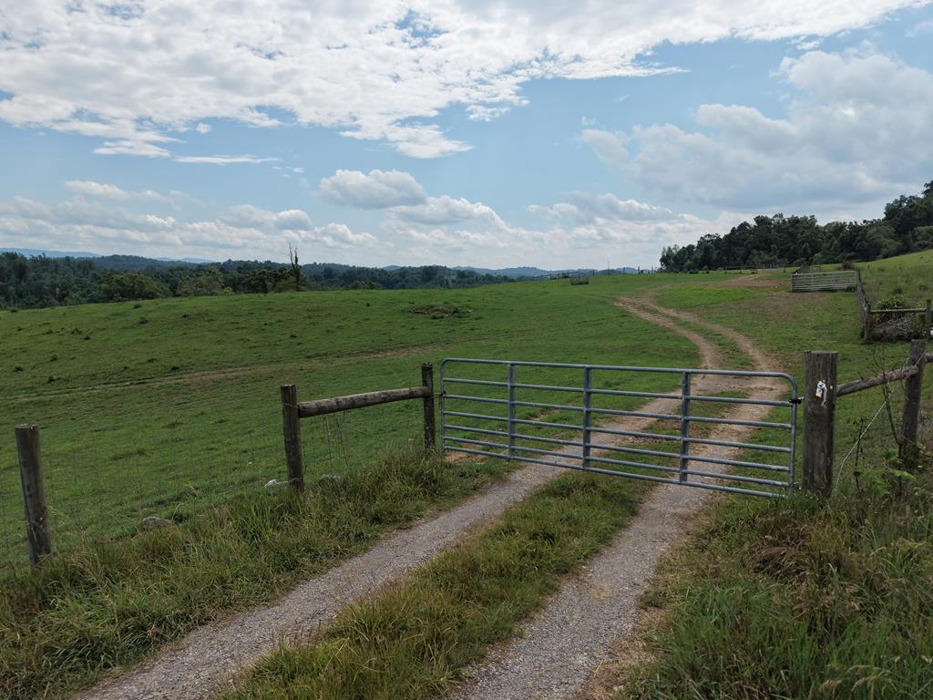 0 Old Eleven Road Marion, VA 24354 - Photo 1 of 29 Gallery Image 1