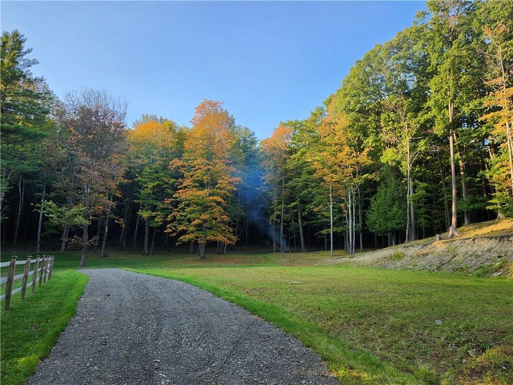 316 Seminary Road Hartwick, NY 13807 - Photo 6 of 23