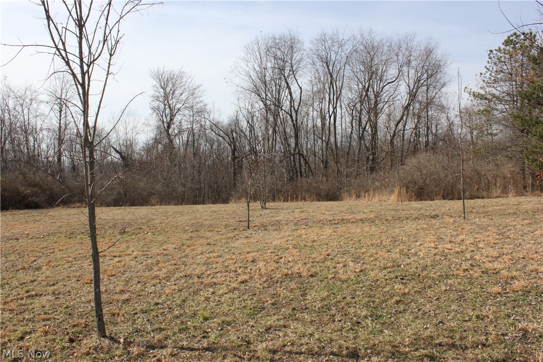 74782 Science Hill Road Kimbolton, OH 43749 - Photo 11 of 26 A few fruit trees
