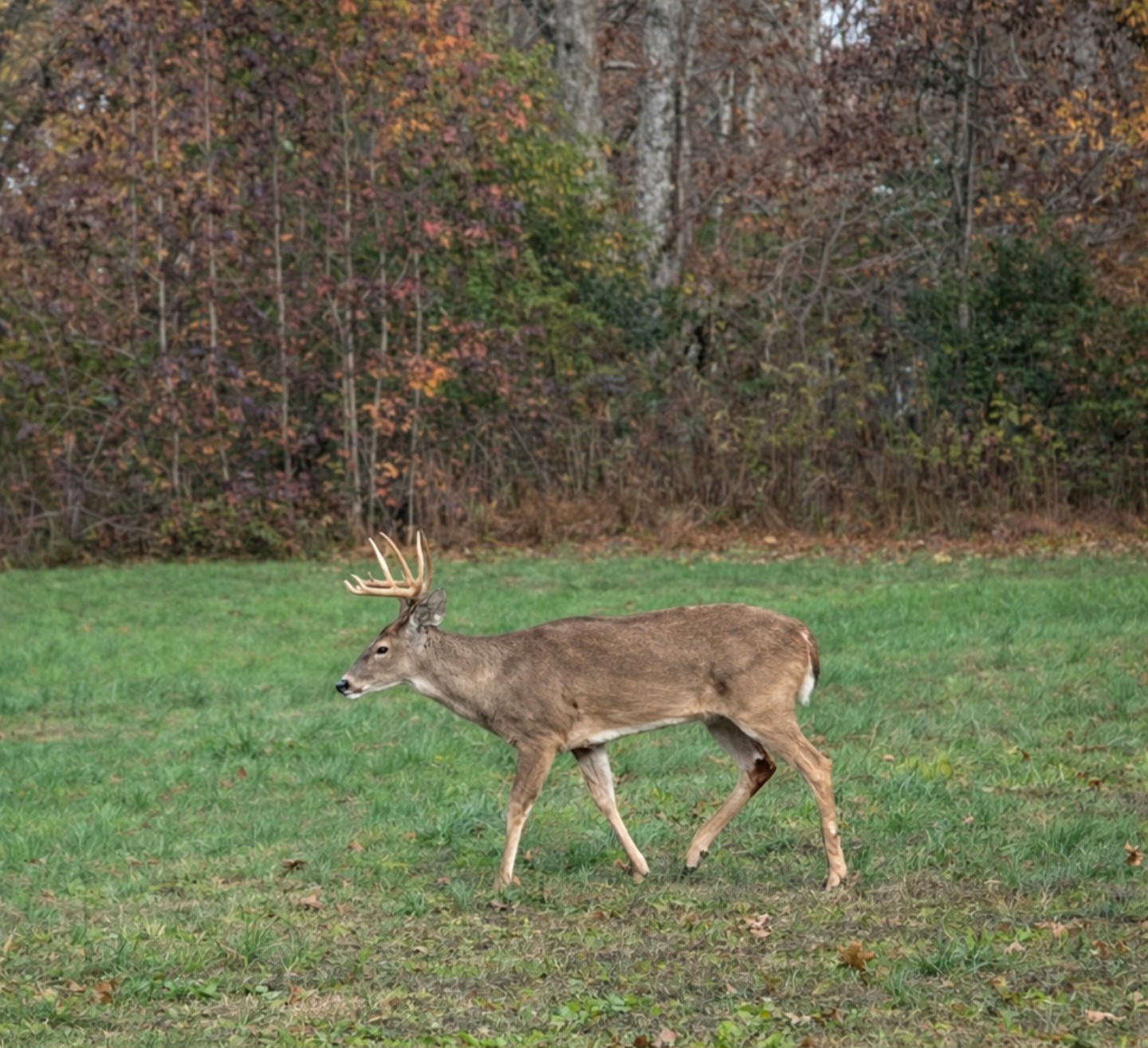 2130 Indian Mound Road Woodlawn, TN 37191 - Photo 6 of 6
