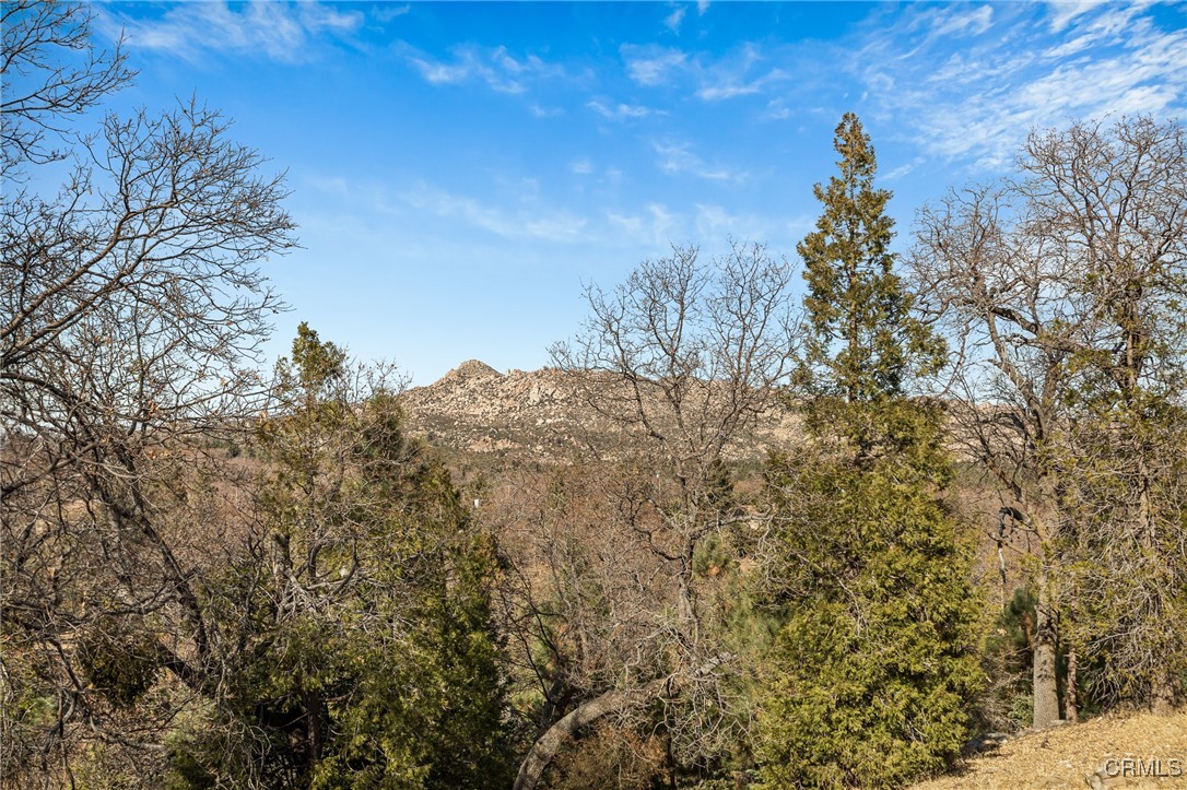26880 Abner Drive Lake Arrowhead, CA 92352 - Photo 33 of 36 a view of a yard with a tree